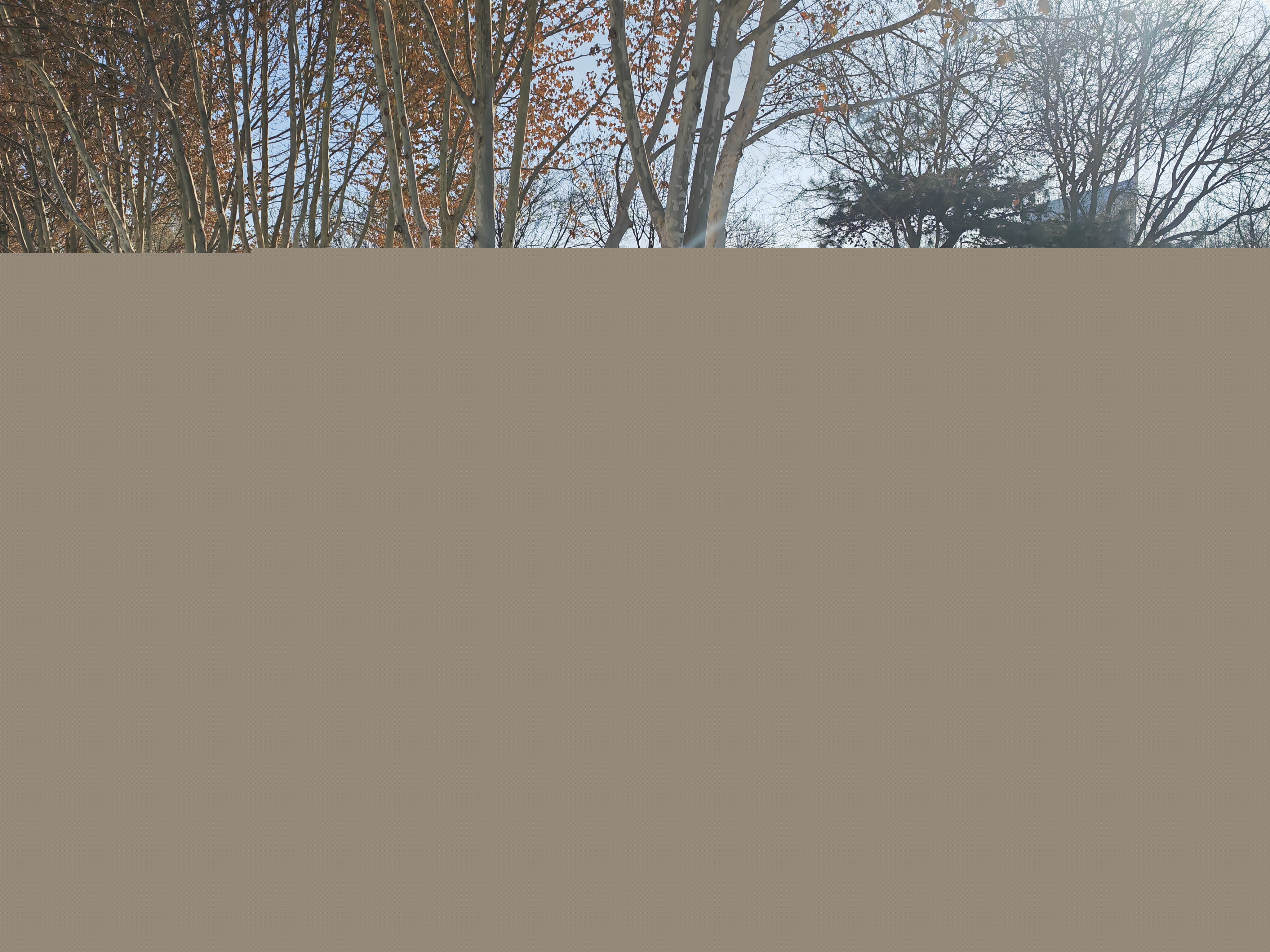 90801393.jpg 90801393.jpg